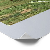 農場のヤギ ポスター (角)