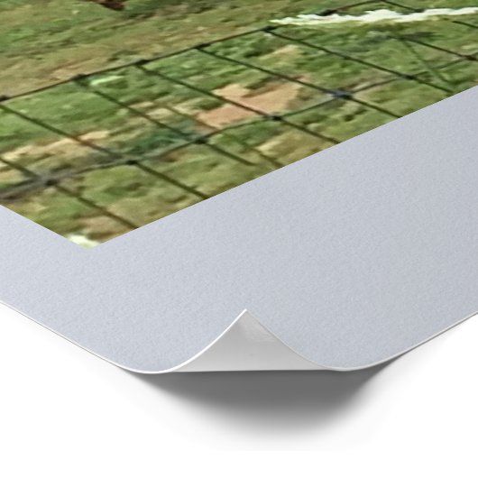 農場のヤギ ポスター (角)