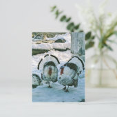 農場の七面鳥 ポストカード (スタンド正面)