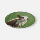 農場の乳牛 ペーパープレート (アングル)