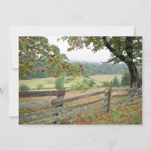 農場の古い塀 サンキューカード (正面)