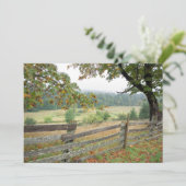 農場の古い塀 サンキューカード (スタンド正面)