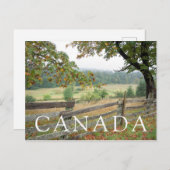 農場の古い塀 ポストカード (正面/裏面)