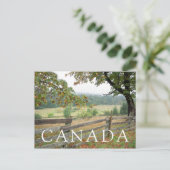 農場の古い塀 ポストカード (スタンド正面)