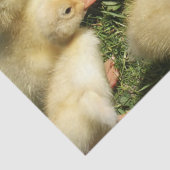 農場の可愛い若い動物 薄葉紙 (詳細)