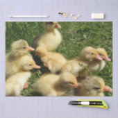 農場の可愛い若い動物 薄葉紙 (クラフト)