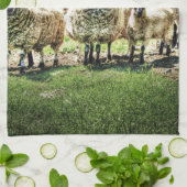 農場の台所ふきんのヒツジ キッチンタオル (折り畳み)