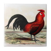 農場の台所装飾的なオンドリのタイルの赤のオンドリ タイル (正面)