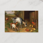 農場の名刺のヤギと鶏 名刺 (裏面)