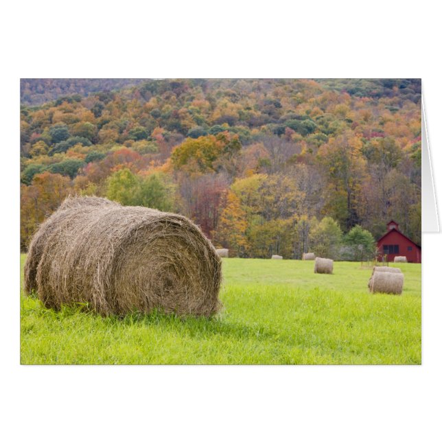 農場の干し草の俵と紅葉、 (正面横)