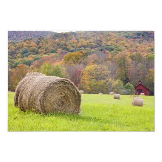農場の干し草の俵と紅葉、 フォトプリント            (正面)