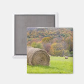 農場の干し草の俵と紅葉、 マグネット (正面/裏面)