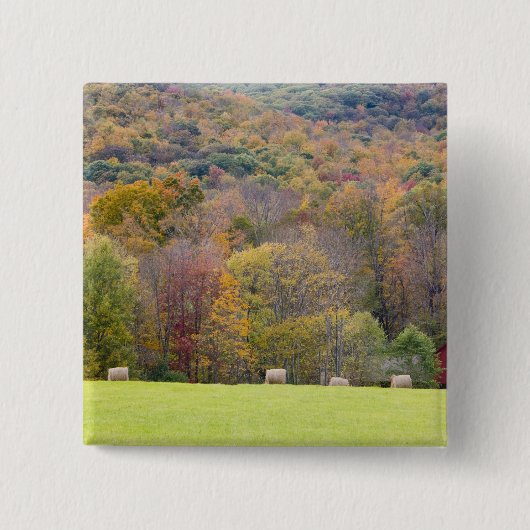 農場の干し草ベールそして紅葉、 缶バッジ (正面)