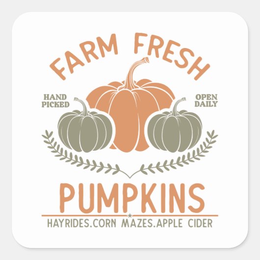 農場の新鮮なカボチャ | 手摘み スクエアシール (正面)