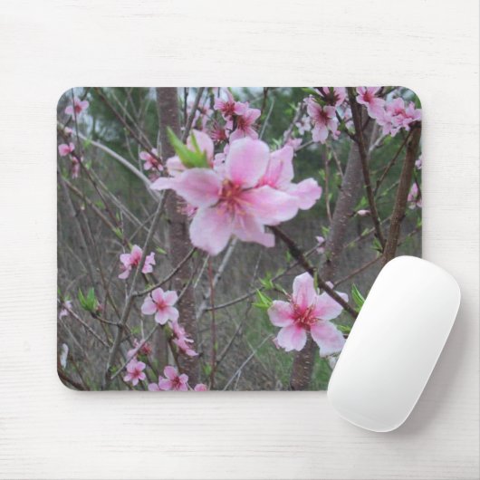 農場の春、DJ 06 マウスパッド (マウス)