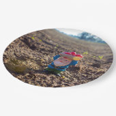 農場の格言 ペーパープレート (アングル)