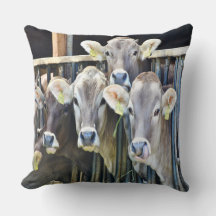 農場の牛の群れ