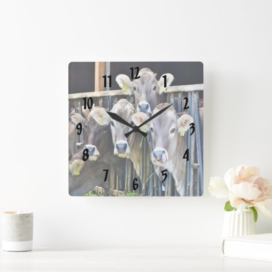 農場の牛の群れ スクエア壁時計 (ホーム)