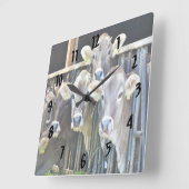 農場の牛の群れ スクエア壁時計 (傾斜)