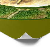 農場の狩猟鳥 ポスター (角)