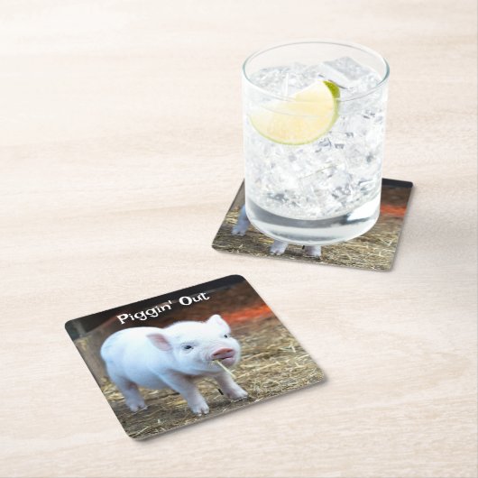 農場の生活をピギン スクエアペーパーコースター (インサイチュ)