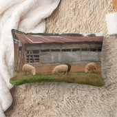 農場の白い羊の若者の写真:サンディ・クロス ランバークッション (ブランケット)