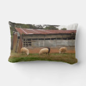 農場の白い羊の若者の写真:サンディ・クロス ランバークッション (裏面)