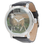 農場の白い羊の若者の写真:サンディ・クロス 腕時計 (アングル)