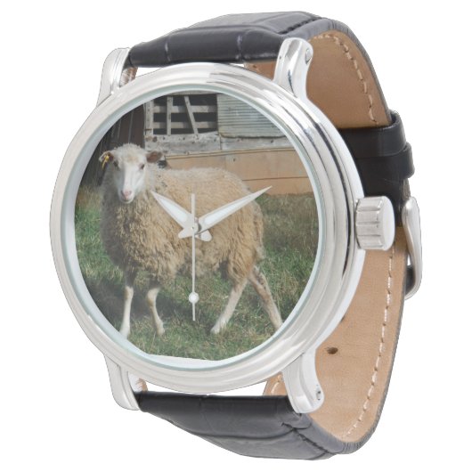 農場の白い羊の若者の写真：サンディ・クロス 腕時計 (アングル)