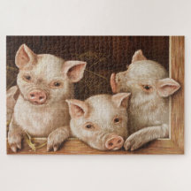 農場の納屋にかわいい小さな子豚