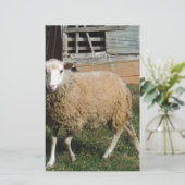 農場の若い白い羊 便箋 (スタンド正面)