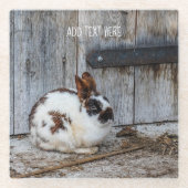 農場の茶色と白のバニーラビット ガラスコースター (正面)