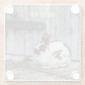 農場の茶色と白のバニーラビット ガラスコースター (裏面)