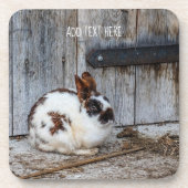 農場の茶色と白のバニーラビット コースター (正面)