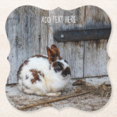 農場の茶色と白のバニーラビット ペーパーコースター (正面)