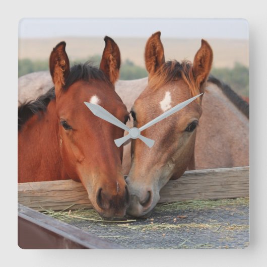 農場の茶色の二頭の馬の写真の壁掛け時計 スクエア壁時計 (正面)