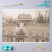 農場の豚ヴィンテージスタイルの分離 薄葉紙 (クラフト)