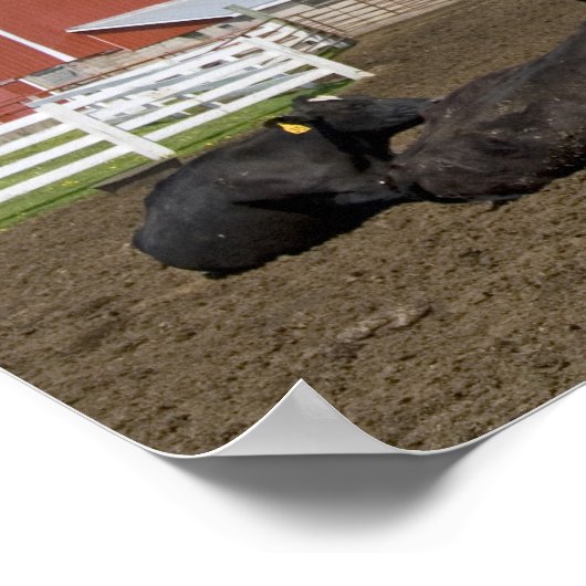 農場の赤い納屋とサイロの前の牛2 ポスター (角)