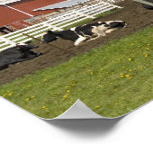 農場の赤い納屋とサイロの前の牛 ポスター (角)