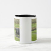 農場の車線、北東オハイオ州のアマン派の乳母車、 マグカップ (中央)