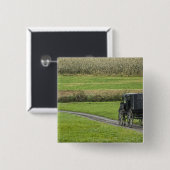 農場の車線、北東オハイオ州のアマン派の乳母車、 缶バッジ (正面&裏面)