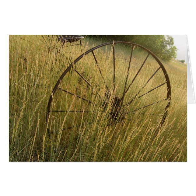 農場の遺物 (正面横)