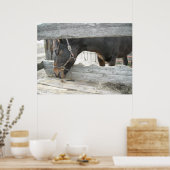 農場の馬ユーモア ポスター (キッチン)