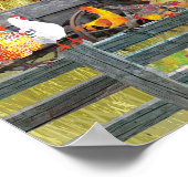 農場の鶏 ポスター (角)