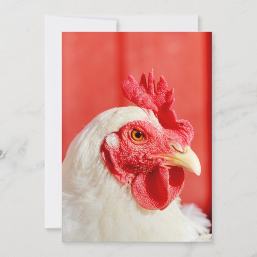 農場の鶏 招待状 (正面)
