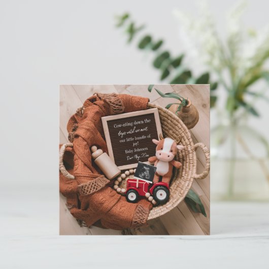 農場をテーマにした編み籠の妊娠の発表 招待状 (スタンド正面)