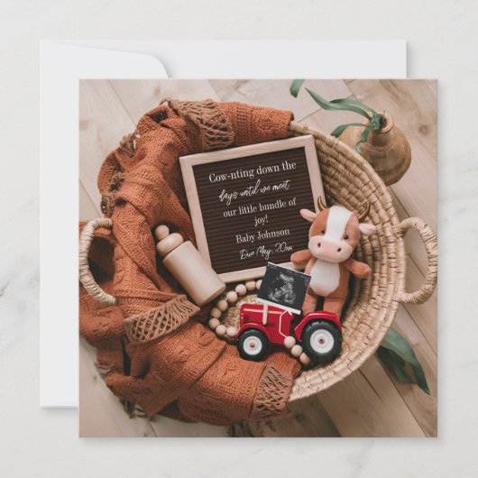 農場をテーマにした編み籠の妊娠の発表 招待状 (正面)