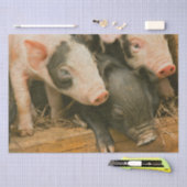 農場ピグレット 薄葉紙 (クラフト)