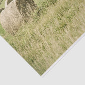 農場内で転が夏末の干し草を積む 薄葉紙 (詳細)