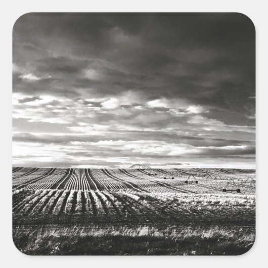 農場畑 スクエアシール (正面)